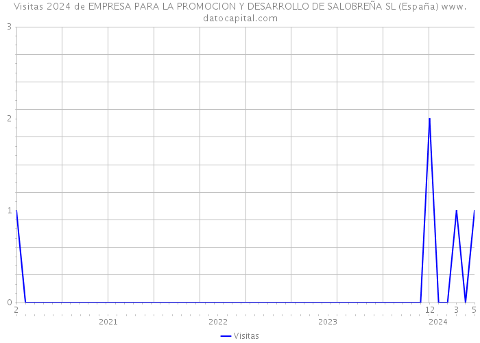 Visitas 2024 de EMPRESA PARA LA PROMOCION Y DESARROLLO DE SALOBREÑA SL (España) 