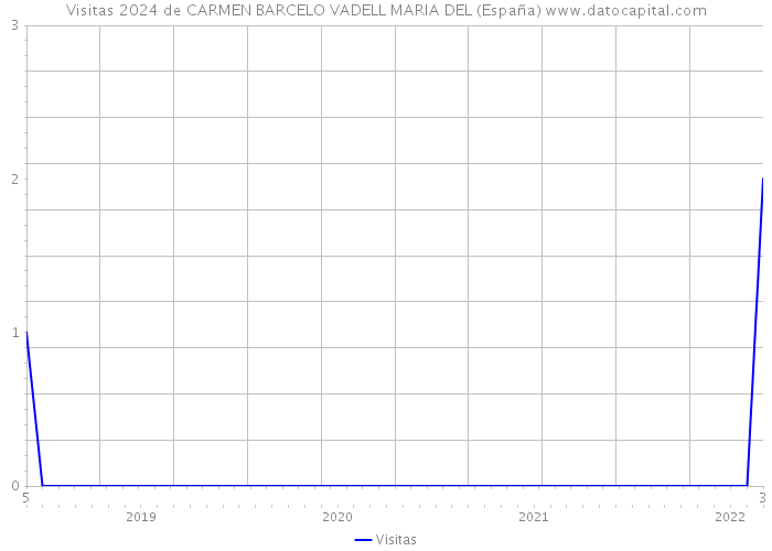 Visitas 2024 de CARMEN BARCELO VADELL MARIA DEL (España) 