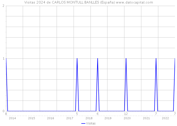 Visitas 2024 de CARLOS MONTULL BANLLES (España) 