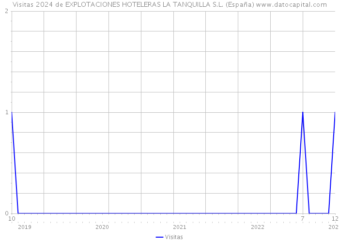 Visitas 2024 de EXPLOTACIONES HOTELERAS LA TANQUILLA S.L. (España) 