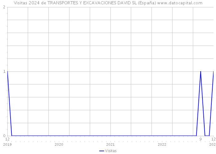 Visitas 2024 de TRANSPORTES Y EXCAVACIONES DAVID SL (España) 