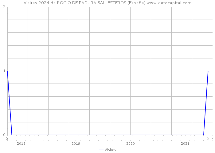 Visitas 2024 de ROCIO DE PADURA BALLESTEROS (España) 