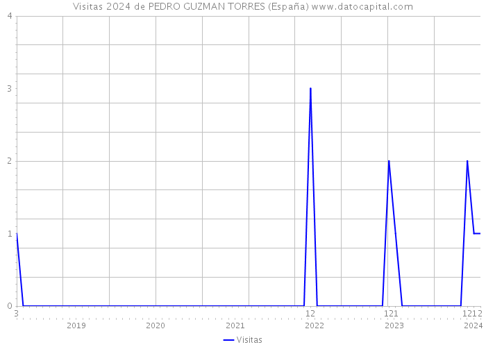 Visitas 2024 de PEDRO GUZMAN TORRES (España) 