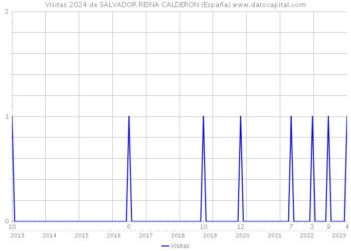 Visitas 2024 de SALVADOR REINA CALDERON (España) 