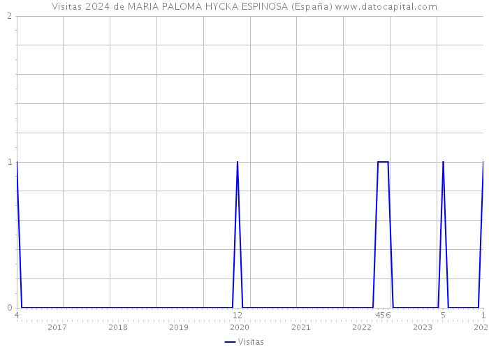 Visitas 2024 de MARIA PALOMA HYCKA ESPINOSA (España) 