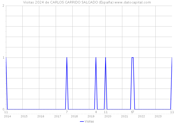 Visitas 2024 de CARLOS GARRIDO SALGADO (España) 