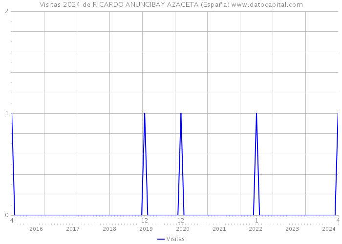 Visitas 2024 de RICARDO ANUNCIBAY AZACETA (España) 