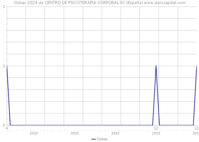 Visitas 2024 de CENTRO DE PSICOTERAPIA CORPORAL SC (España) 