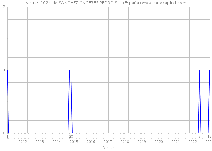 Visitas 2024 de SANCHEZ CACERES PEDRO S.L. (España) 