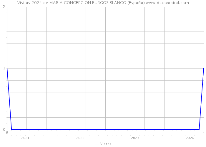 Visitas 2024 de MARIA CONCEPCION BURGOS BLANCO (España) 