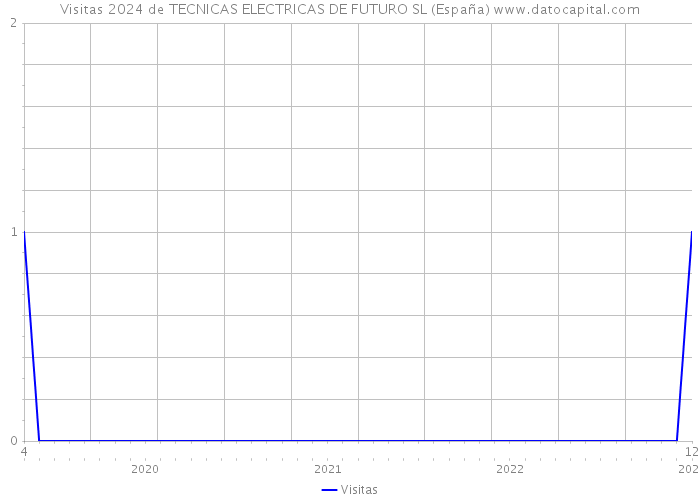 Visitas 2024 de TECNICAS ELECTRICAS DE FUTURO SL (España) 