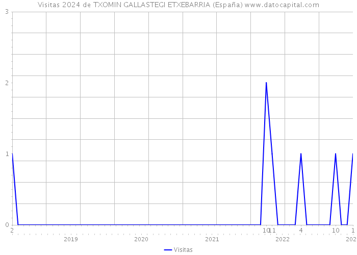 Visitas 2024 de TXOMIN GALLASTEGI ETXEBARRIA (España) 