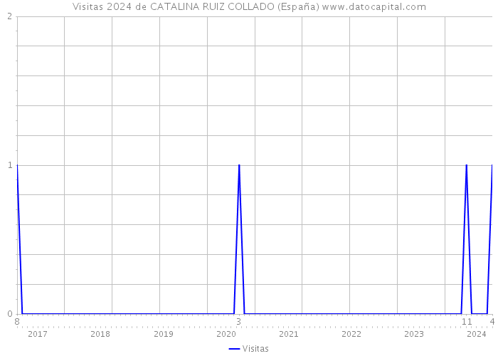 Visitas 2024 de CATALINA RUIZ COLLADO (España) 