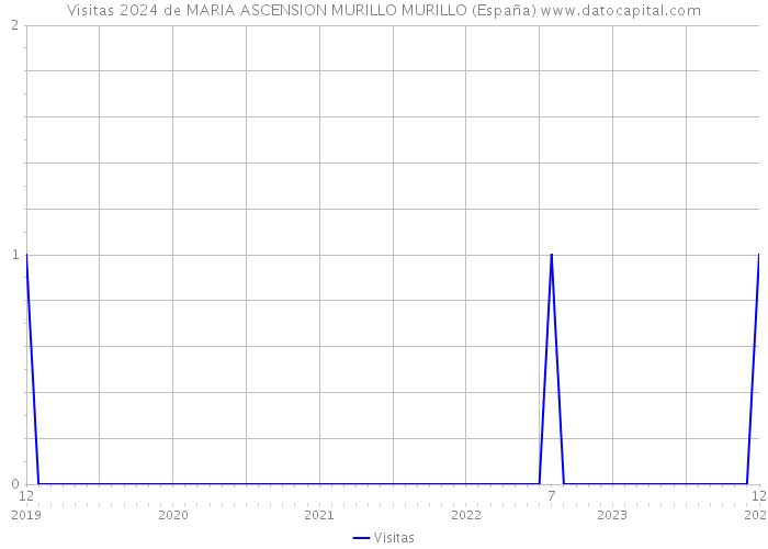 Visitas 2024 de MARIA ASCENSION MURILLO MURILLO (España) 