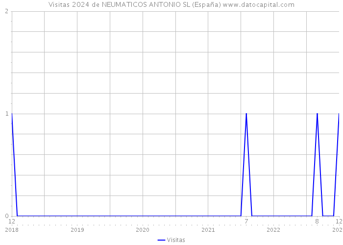 Visitas 2024 de NEUMATICOS ANTONIO SL (España) 