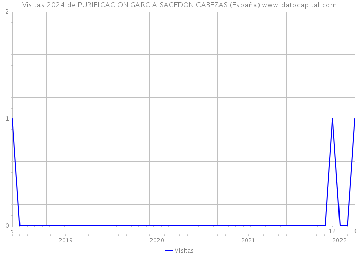 Visitas 2024 de PURIFICACION GARCIA SACEDON CABEZAS (España) 