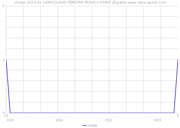 Visitas 2024 de CAMOGLIANO PEREYRA FRANCO FARID (España) 