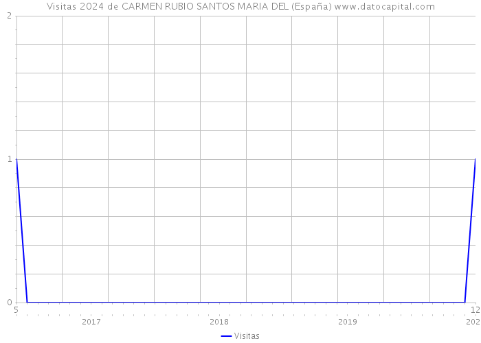 Visitas 2024 de CARMEN RUBIO SANTOS MARIA DEL (España) 