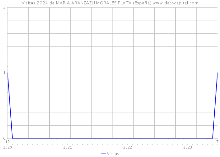 Visitas 2024 de MARIA ARANZAZU MORALES PLATA (España) 