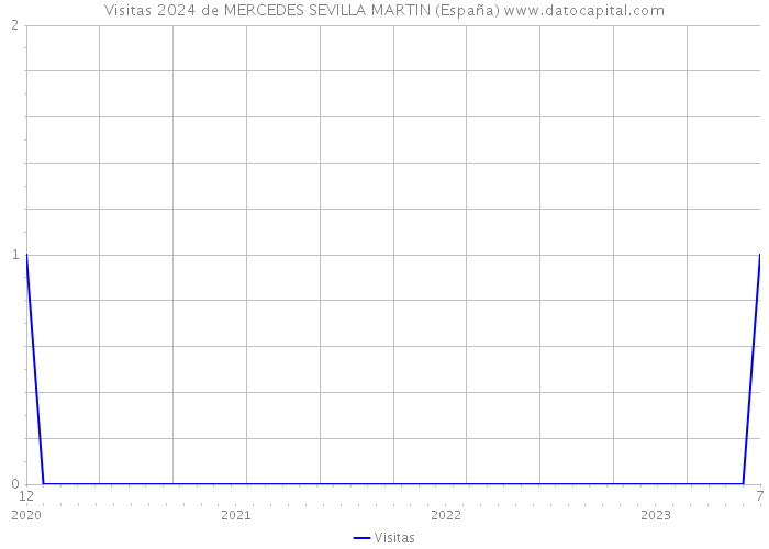 Visitas 2024 de MERCEDES SEVILLA MARTIN (España) 