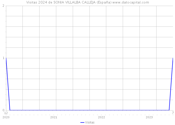 Visitas 2024 de SONIA VILLALBA CALLEJA (España) 