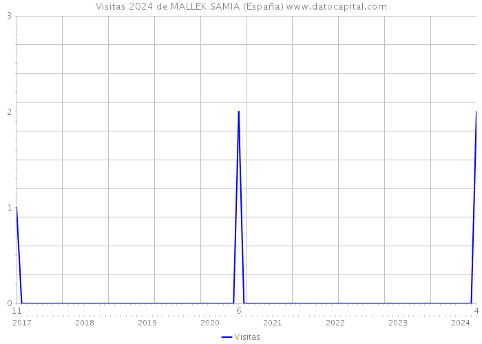 Visitas 2024 de MALLEK SAMIA (España) 