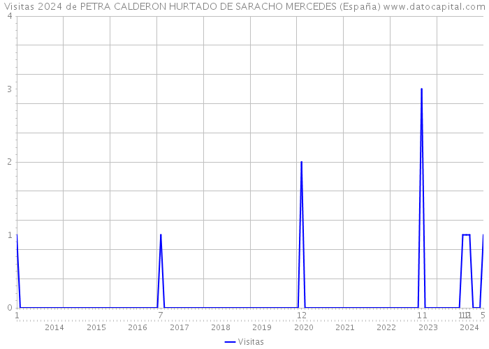 Visitas 2024 de PETRA CALDERON HURTADO DE SARACHO MERCEDES (España) 