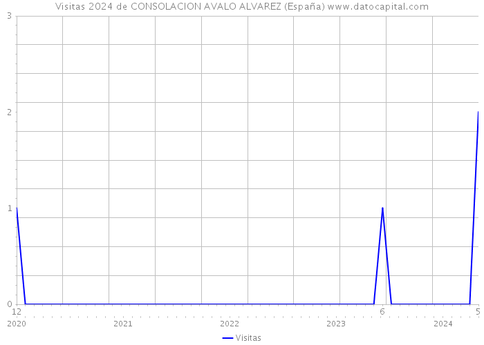 Visitas 2024 de CONSOLACION AVALO ALVAREZ (España) 