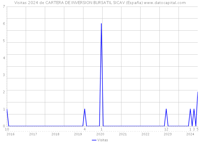 Visitas 2024 de CARTERA DE INVERSION BURSATIL SICAV (España) 