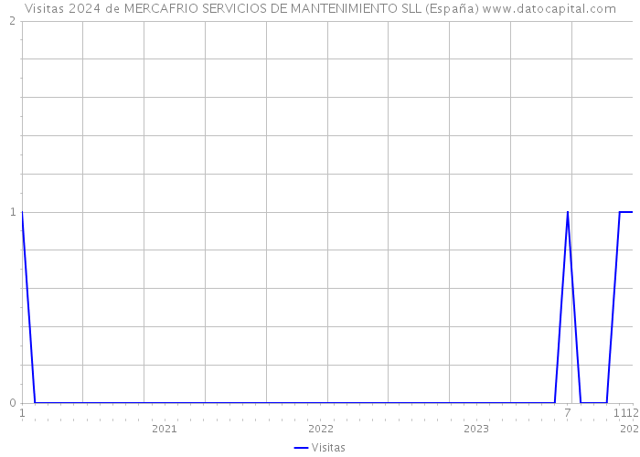 Visitas 2024 de MERCAFRIO SERVICIOS DE MANTENIMIENTO SLL (España) 