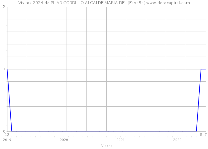 Visitas 2024 de PILAR GORDILLO ALCALDE MARIA DEL (España) 