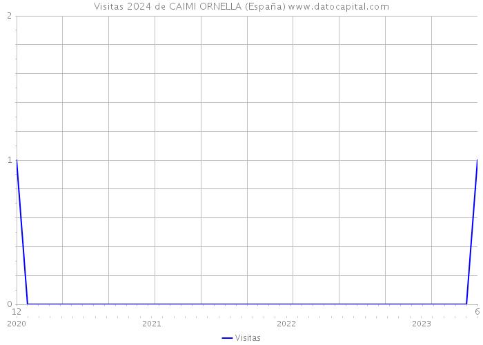 Visitas 2024 de CAIMI ORNELLA (España) 