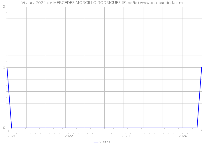 Visitas 2024 de MERCEDES MORCILLO RODRIGUEZ (España) 