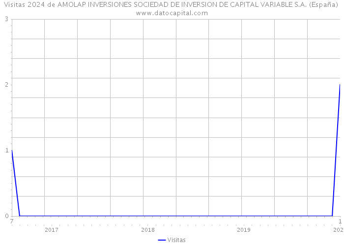 Visitas 2024 de AMOLAP INVERSIONES SOCIEDAD DE INVERSION DE CAPITAL VARIABLE S.A. (España) 