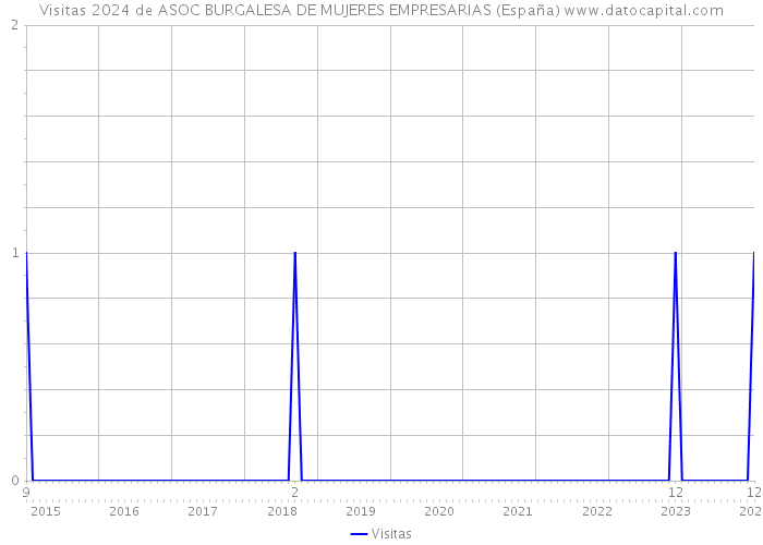 Visitas 2024 de ASOC BURGALESA DE MUJERES EMPRESARIAS (España) 