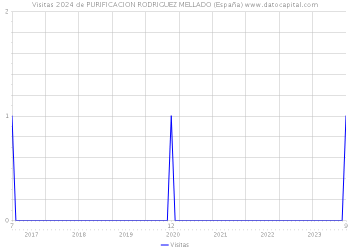 Visitas 2024 de PURIFICACION RODRIGUEZ MELLADO (España) 