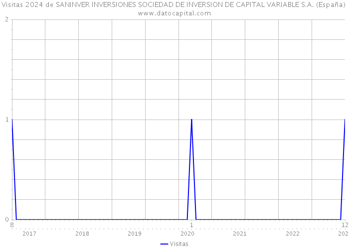 Visitas 2024 de SANINVER INVERSIONES SOCIEDAD DE INVERSION DE CAPITAL VARIABLE S.A. (España) 