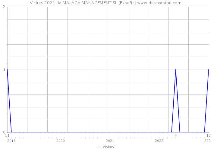 Visitas 2024 de MALAGA MANAGEMENT SL (España) 