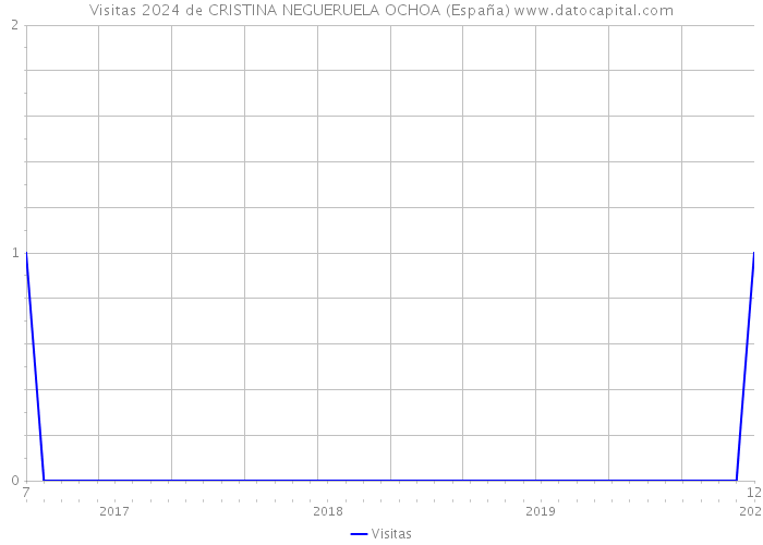 Visitas 2024 de CRISTINA NEGUERUELA OCHOA (España) 