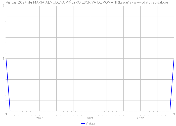 Visitas 2024 de MARIA ALMUDENA PIÑEYRO ESCRIVA DE ROMANI (España) 