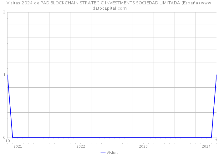 Visitas 2024 de PAD BLOCKCHAIN STRATEGIC INVESTMENTS SOCIEDAD LIMITADA (España) 