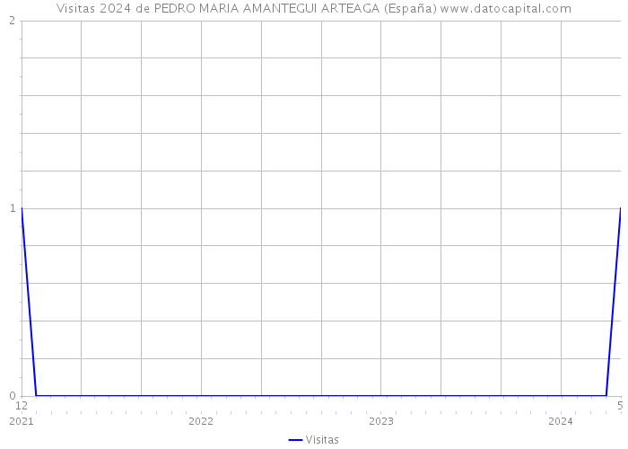 Visitas 2024 de PEDRO MARIA AMANTEGUI ARTEAGA (España) 