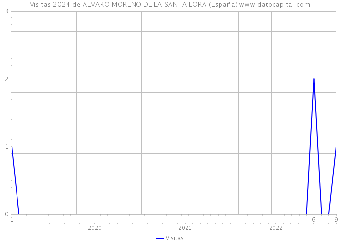 Visitas 2024 de ALVARO MORENO DE LA SANTA LORA (España) 