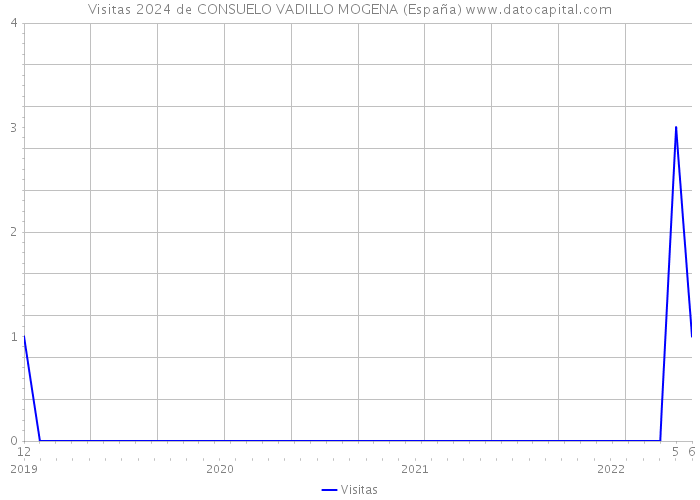 Visitas 2024 de CONSUELO VADILLO MOGENA (España) 