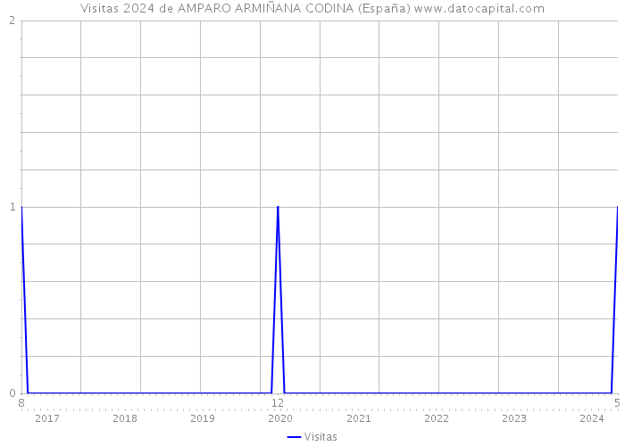 Visitas 2024 de AMPARO ARMIÑANA CODINA (España) 