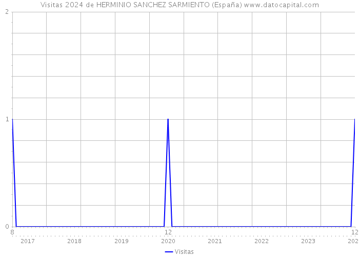 Visitas 2024 de HERMINIO SANCHEZ SARMIENTO (España) 