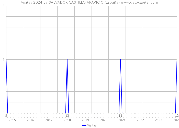 Visitas 2024 de SALVADOR CASTILLO APARICIO (España) 