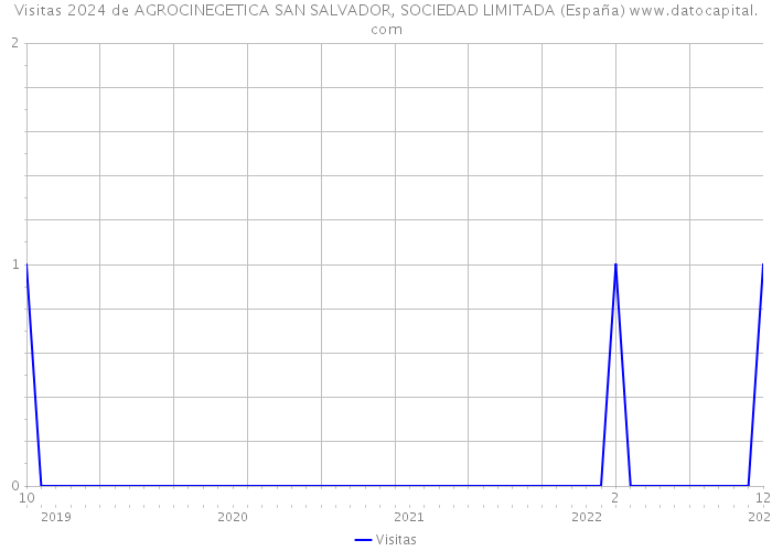 Visitas 2024 de AGROCINEGETICA SAN SALVADOR, SOCIEDAD LIMITADA (España) 