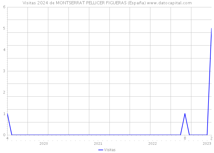 Visitas 2024 de MONTSERRAT PELLICER FIGUERAS (España) 