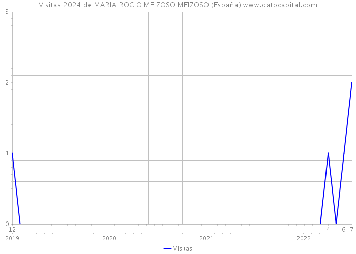 Visitas 2024 de MARIA ROCIO MEIZOSO MEIZOSO (España) 